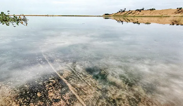 ଜହର ପାଲଟିଲାଣି ମଙ୍ଗଳା ନଈ: ମରି ପଡ଼ିଛନ୍ତି ହଜାର ହଜାର ମାଛ