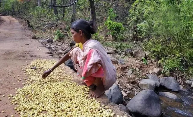 ମୟୂରଭଞ୍ଜ ବିକାଶର ନକ୍ସା ଆଙ୍କିବ କିଏ?