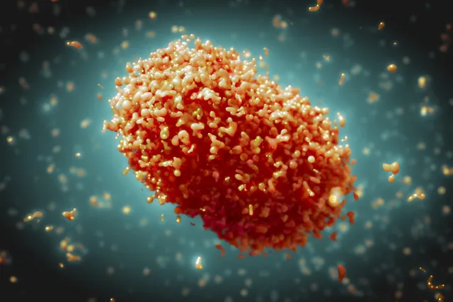 ମଙ୍କିପକ୍ସ ସଂକ୍ରମଣ : ବିଶ୍ବ ସ୍ବାସ୍ଥ୍ୟ ଜରୁରୀପରିସ୍ଥିତି ଘୋଷଣା କଲା ‘ହୁ’