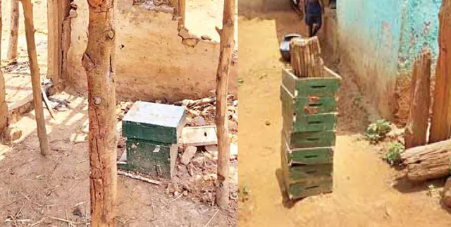 ନଗଡ଼ା ମହୁ ନାଁରେ ସରକାରୀ ମିଛ!