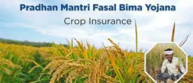 ପ୍ରଧାନମନ୍ତ୍ରୀ ଫସଲ ବୀମାରେ ବି ପ୍ରତାରଣା: ୬ ମାସ ବିଳମ୍ବ, ତଥାପି ବାକି ରହିଲା ୬୨୮ କୋଟି