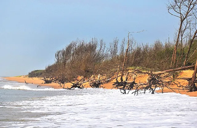 ଭୟ ଦେଖାଉଛି ସମୁଦ୍ର, ୭ଟି ପଞ୍ଚାୟତର ଏକାଧିକ ଗାଁ ବିପଦ ମୁହଁରେ