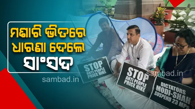 ମଶାରି ଭିତରେ ପଶି ପାର୍ଲାମେଣ୍ଟ୍‌ ବାହାରେ ଧାରଣା ଦେଲେ ବିରୋଧୀ ସାଂସଦ