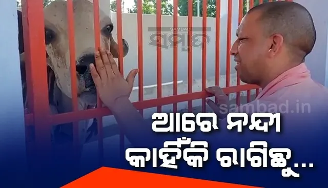 ନନ୍ଦୀକୁ ଗେଲ କରି ଯୋଗୀ ପଚାରିଲେ; ଆରେ ଏ ନନ୍ଦୀ, କାହିଁକି ରାଗିଛୁ, ତା’ ପରେ....