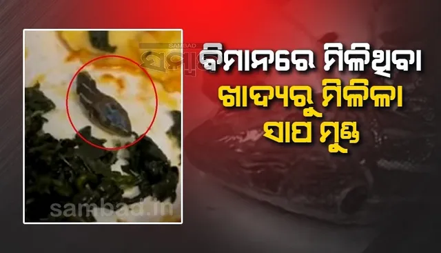 ବିମାନରେ ଦିଆଯାଇଥିବା ନିରାମିଷ ଖାଦ୍ୟରୁ ମିଳିଲା ସାପ ମୁଣ୍ଡ, ଭାଇରାଲ ହେଲା ଫଟୋ