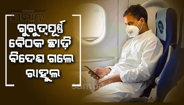 କଂଗ୍ରେସର ଗୁରୁତ୍ବପୂର୍ଣ୍ଣ ‌ବୈଠକ ପୂର୍ବରୁ ୟୁରୋପ ଗଲେ ରାହୁଲ ଗାନ୍ଧି