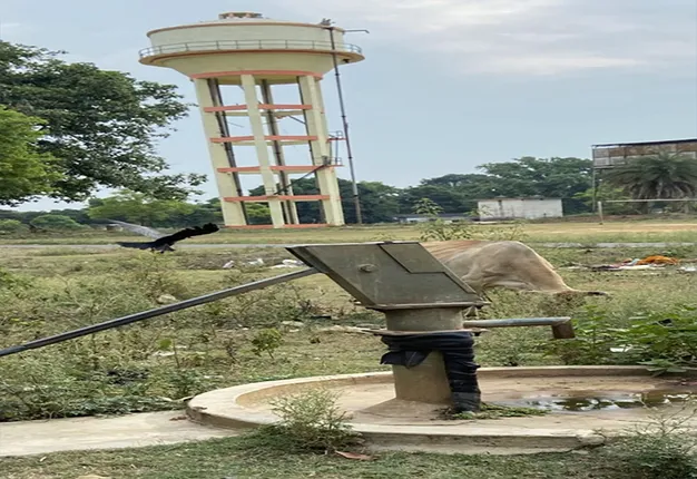 ସରକାରୀ ନଳକୂପ ପାଣିକୁ ନେଇ ବେପାର, ମୋଟର ଲଗାଇ ଶୋଷୁଛନ୍ତି