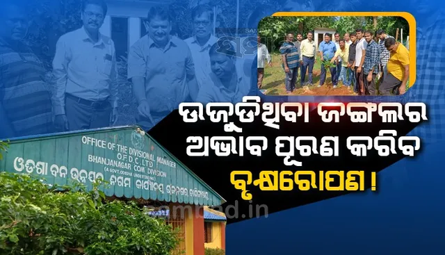 ଫନି ବାତ୍ୟାର ପ୍ରଭାବରେ ଉଜୁଡ଼ିଥିବା ‘ଜଙ୍ଗଲ’ର ଅଭାବ ପୂରଣ କରିବ ବୃକ୍ଷରୋପଣ!