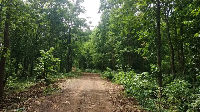 ରେବଣା-ଦୈତାରୀ ରାସ୍ତା ନିର୍ମାଣ କେବେ?