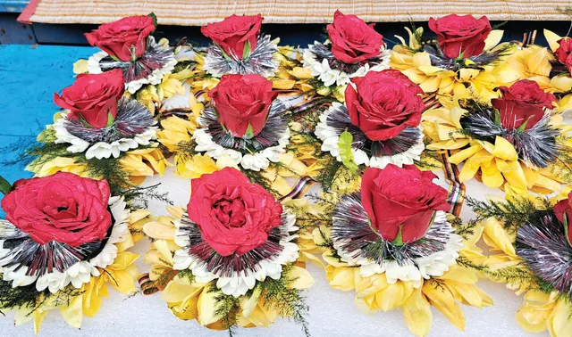 ହଜାରେ ଟଙ୍କିଆ ଫୁଲ ରାକ୍ଷୀ: ବ୍ୟାସାର୍ଦ୍ଧ ୧୨ ଇଞ୍ଚ, ପରିଧି ୮୦ ଇଞ୍ଚ