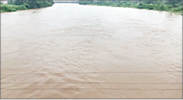 ଫୁଲିଲାଣି କୁଆଖାଇ, କୁଶଭଦ୍ରା, ଭାର୍ଗବୀ