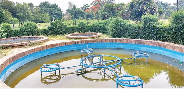 କଳଙ୍କି ଲାଗି ଯନ୍ତ୍ରାଂଶ ଅଚଳ, ପଚା ପାଣିରେ ଭର୍ତ୍ତି ପାର୍କ‌ ୱାଟର୍‌ ଫାଉଣ୍ଟେନ୍‌