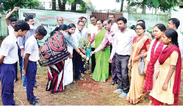 ଗଛ ଲଗାଇବା ଭଳି ଯତ୍ନ ନେବା ଗୁରତ୍ବପୂର୍ଣ୍ଣ