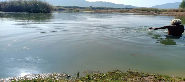 ନଦୀରେ ଭାସିଯାଇ ବୃଦ୍ଧ ନିଖୋଜ