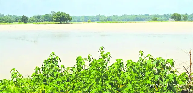 ଜଳକାରେ ବନ୍ୟା,୫ ପଞ୍ଚାୟତରେ ପଶିଲା ପାଣି