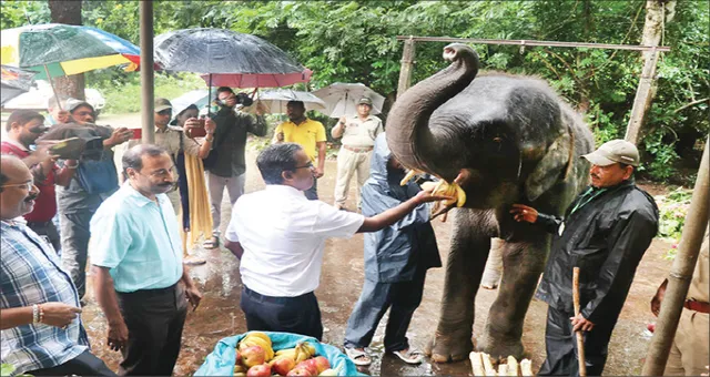 ନନ୍ଦନକାନନରେ ହସ୍ତୀ ଦିବସ: ମନ କିଣିଲା ମାମା, ମା’ ହେବ ହୀରା