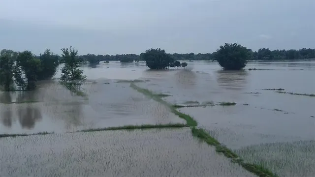 ଲଗାଣ ବର୍ଷାରେ ଅବସ୍ଥା ବେହାଲ, ଘରେ ପଶିଲା ପାଣି, ଚାଷ ଜମି ଜଳାର୍ଣ୍ଣବ