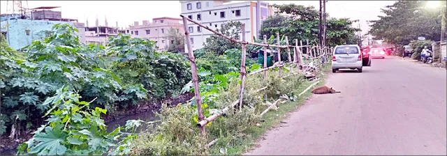 ଭଙ୍ଗା ବାଉଁଶ ବାଡ଼ରେ ଡ୍ରେନ୍‌ ସୁରକ୍ଷା