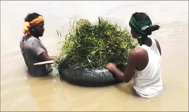 କୁଜଙ୍ଗରେ ୭୦ ଫୁଟର ଘାଇ