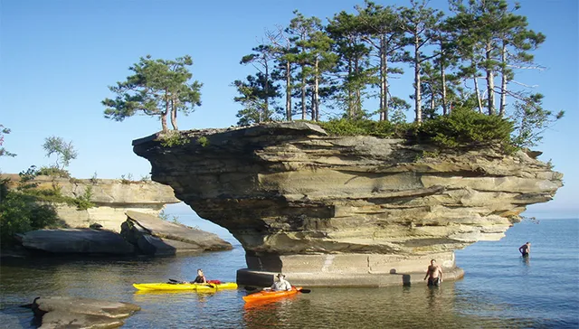 ନୂଆ ସମୟ ନୂଆ କଥା: ଟର୍‌ନିପ୍‌ ରକ୍‌ସ