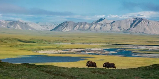 ଦେଶ ଠାରୁ ବଡ଼ ଜାତୀୟ ଉଦ୍ୟାନ