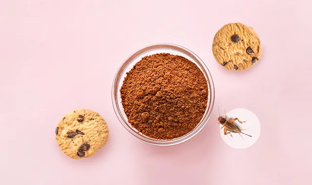 ଝିଙ୍କାରି କୁକି ପ୍ରସ୍ତୁତ କଲେ ‘ଅଟ୍ରି’ ବୈଜ୍ଞାନିକ; କହିଲେ, କୀଟ-ଭୋଜନ ଖାଦ୍ୟ ସଙ୍କଟ ଦୂର କରିପାରେ