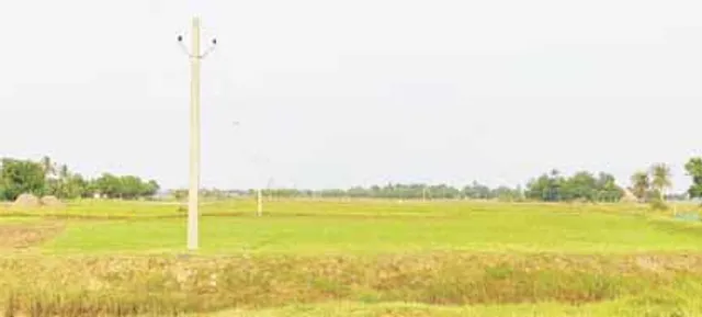 ସରିଲା ଧାନ ବିକ୍ରି ନାମ ପଞ୍ଜୀକରଣ, ସାଟେଲାଇଟ୍‌ ସର୍ଭେକୁ ଡର; କମିଲେ ଚାଷୀ