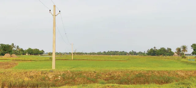 ହୁସିଆର! ଚାଷ ନ କରି ନାଁ ପଞ୍ଜୀକରଣ କଲେ...