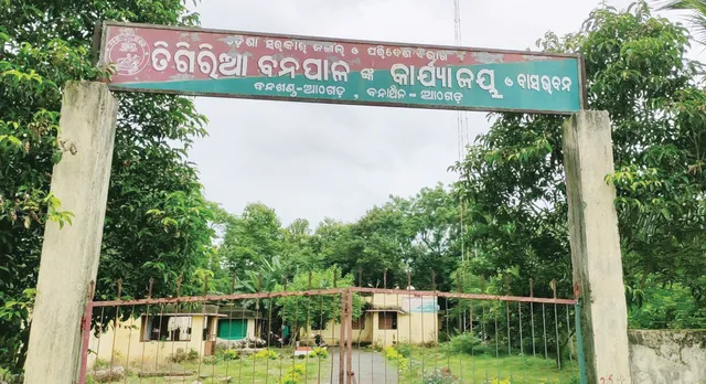 ଅସୁରକ୍ଷିତ ତିଗିରିଆ ବନାଞ୍ଚଳ, ଗାଡ଼ି ନାହିଁ; ୨୫୦୦ ହେକ୍ଟର ଜଙ୍ଗଲ‌ ଜଗୁଛନ୍ତି ୧୦ କର୍ମଚାରୀ