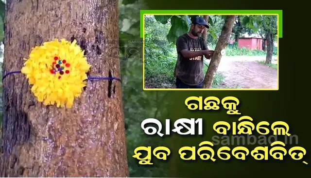 ଗଛକୁ ରାକ୍ଷୀ ବାନ୍ଧି ରକ୍ଷାବନ୍ଧନ ପାଳିଲେ ଯୁବ ପରିବେଶବିତ୍ 
