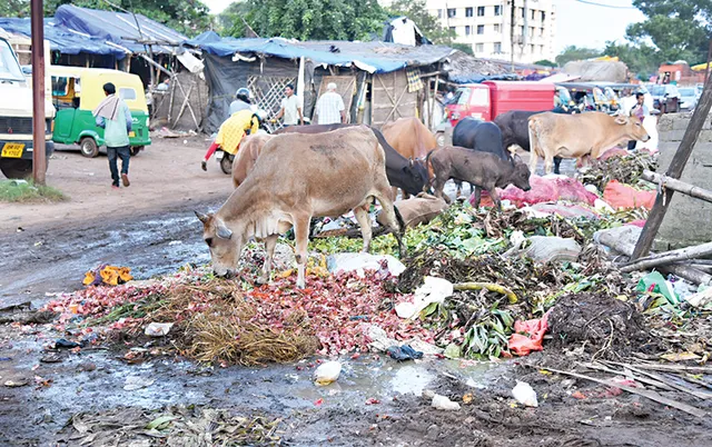 ଆବର୍ଜନାକୁ ନେଇ ଫିଟୁନି ବାଟ; ସହରର ବହୁ ସ୍ଥାନରୁ ଉଠିପାରୁନି ଅଳିଆ, ଜନଅସନ୍ତୋଷ ବଢ଼ୁଛି