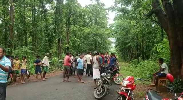 ଗୋଚାଲାଣ ବେଳେ ପିକଅପ ଓଲଟି ୬ ଗାଈ ମୃତ