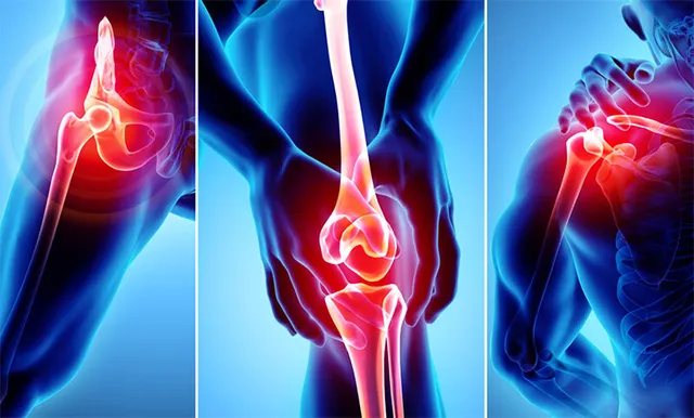 ଅସ୍ଥି ଓ ଖଞ୍ଜା ଦିବସ