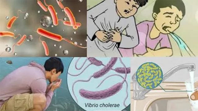 ଲଗାଣ ବର୍ଷା ପାଇଁ ବ୍ୟାପିପାରେ ହଇଜା, ଝାଡ଼ାବାନ୍ତି