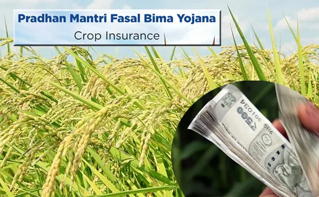 କେନ୍ଦ୍ରମନ୍ତ୍ରୀଙ୍କ ଘୋଷଣାକୁ ମାସେ ବିତିଲା: ପ୍ରଧାନମନ୍ତ୍ରୀ ଫସଲ ବୀମା, ୩୦ କୋଟି ଏବେ ବି ବାକି