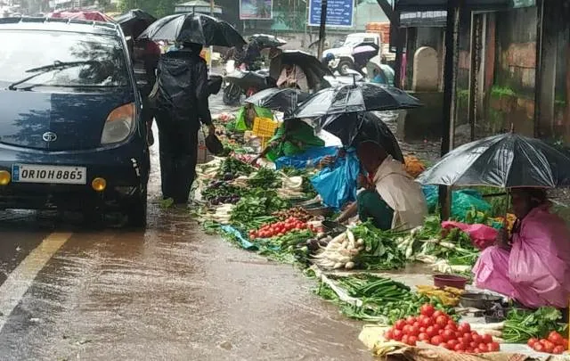 କୋରାପୁଟ ରବିବାର ହାଟ: ଖରା ବରଷାକୁ ନାହିଁ ଆମ ଡର, ପରିବା ବିକିଲେ ଚଳେ ସଂସାର।