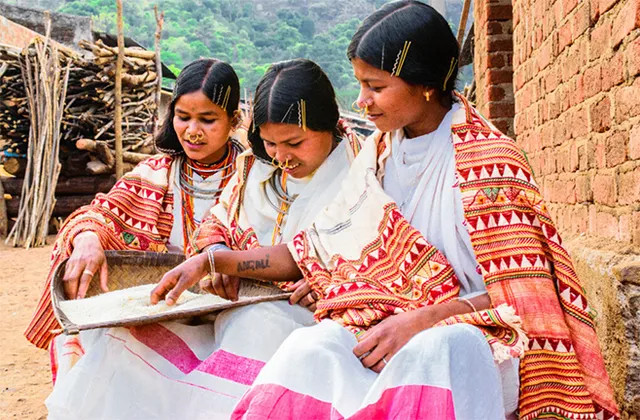 ୟୁନେସ୍କୋର ଆଇକନିକ୍‌ ବୟନ: ୪୭ଟି ଭାରତୀୟ ତାଲିକା ମଧ୍ୟରେ ଓଡ଼ିଶାରୁ ୫