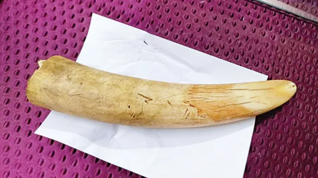 ଦନ୍ତାହତ୍ୟା, ଦାନ୍ତ କାଟିନେବା ଘଟଣା: ୧୮୦୦ ଗ୍ରାମର ଦାନ୍ତ ଜବତ, ମାଷ୍ଟର୍‌ମାଇଣ୍ଡ୍‌ର ସଂପର୍କୀୟ ଅଟକ