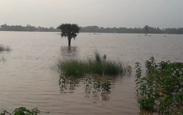 ବନ୍ୟାଞ୍ଚଳ ଖବର