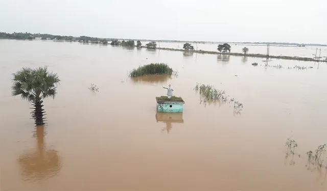 ବିପଦ ସଂକେତ ଉପରେ ବୈତରଣୀ, କାଣୀ