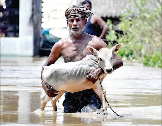 ବୁଡ଼େଇଲାଣି ବନ୍ୟା: ମହାନଦୀ-ଅଂଶୁପା ଏକାକାର, ୭୦ ପଞ୍ଚାୟତର ୧ଲକ୍ଷ ଲୋକ ପ୍ରଭାବିତ