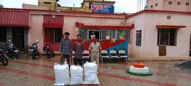 ଅଟୋ ରିକ୍ସାରୁ ୭୦ କିଲୋ ଗଂଜେଇ ଜବତ, ୨ଗିରଫ 