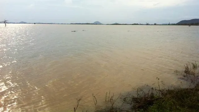 ଋଷିକୁଲ୍ୟା ଫୁଲୁଛି,୫ ଡ୍ୟାମ୍‌ ଜଳସ୍ତର ବଢୁଛି