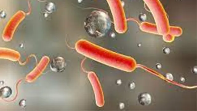 ୩ବର୍ଷ ପରେ ରାଜ୍ୟକୁ ଫେରିଲା କଲେରା: ୫ବର୍ଷରେ ଡାଇରିଆରେ ଯାଇଛି ୪୩୦ ଜୀବନ