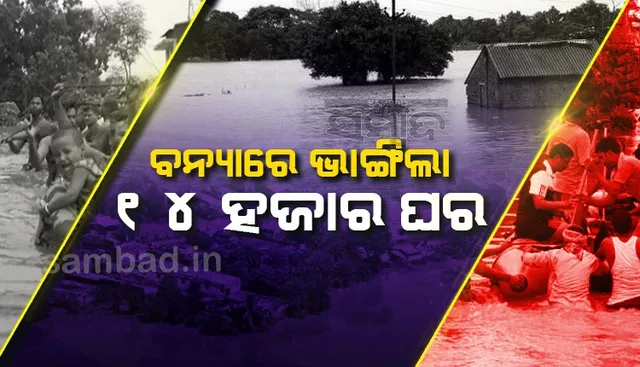 ବନ୍ୟା ଯୋଗୁଁ ୧୪ ହଜାର ଘର, ୧.୨୬ ଲକ୍ଷ ହେକ୍ଟର ଚାଷଜମି କ୍ଷତିଗ୍ରସ୍ତ