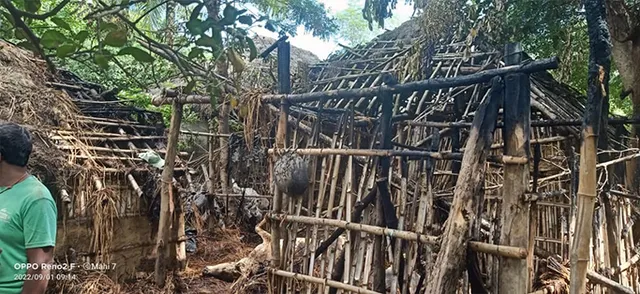 ୩ ବଖରା ଜଳିଗଲା, ୩ ଗୋରୁ ଜଳିଗଲେ