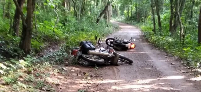 ହାତୀ ସହ ମୁହାଁମୁହିଁ, ଅଳ୍ପକେ ବର୍ତ୍ତିଲେ ୨ ଶିକ୍ଷକ