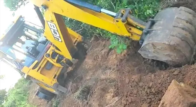 କାଜୁଗଛ କଟାକୁ ନେଇ ଅସନ୍ତୋଷ