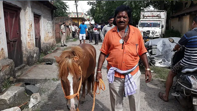 ବୁ୍ନ୍ଦିଆ କଲୋନିରୁ ଚୋରି ଘୋଡ଼ା ବେଲପାହାଡ଼ରୁ ଉଦ୍ଧାର