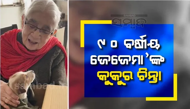 ୧୨୦ଟି ବୁଲା କୁକୁରଙ୍କ ପାଇଁ ପ୍ରତିଦିନ ରୋଷେଇ କରନ୍ତି ୯୦ ବର୍ଷୀୟ ବୃଦ୍ଧା ମହିଳା